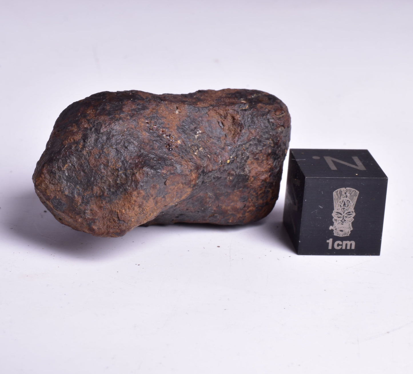 MUNDRABILLA IRON METEORITE, Western Australia MT42