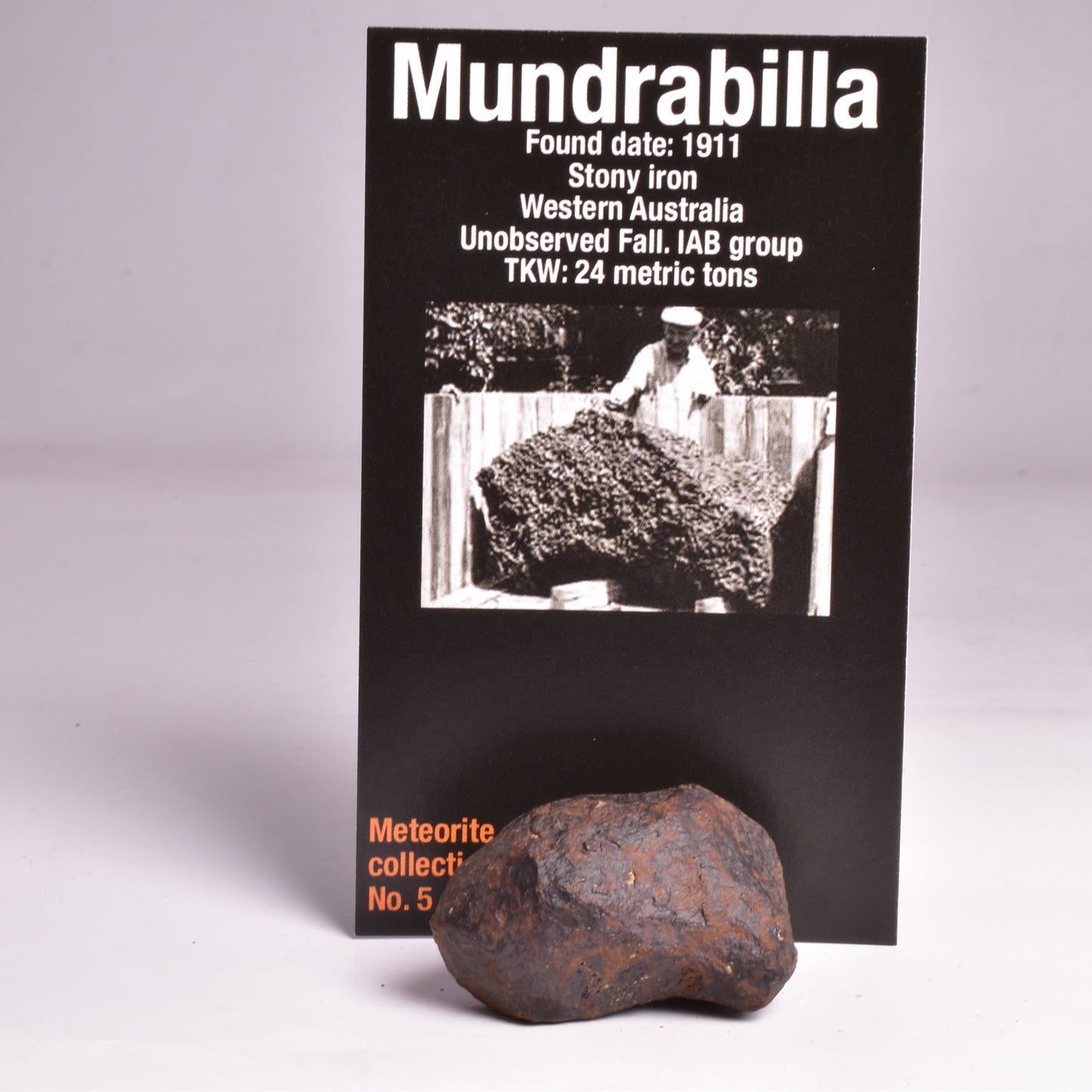 MUNDRABILLA IRON METEORITE, Western Australia MT42