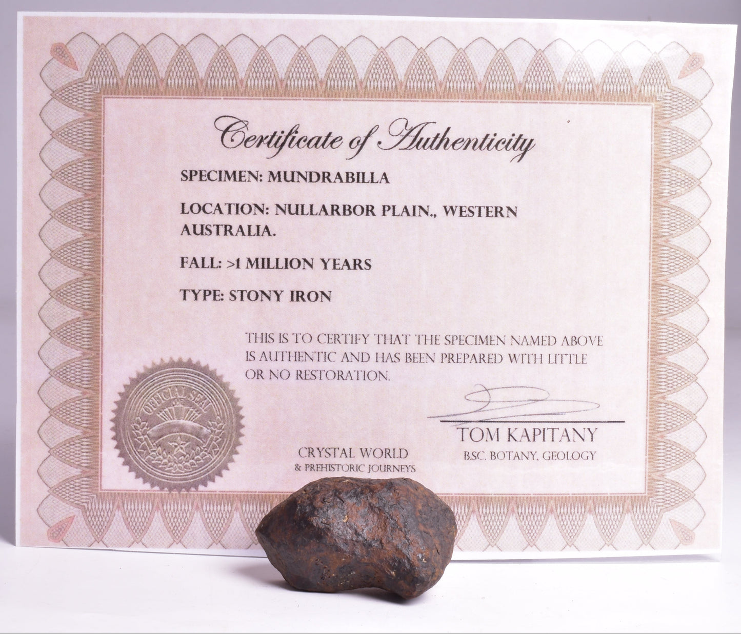 MUNDRABILLA IRON METEORITE, Western Australia MT42