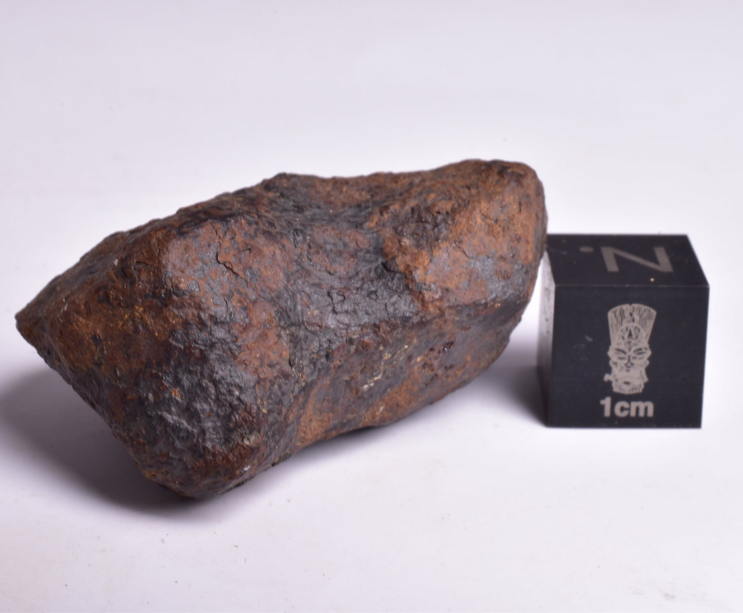MUNDRABILLA IRON METEORITE, Western Australia MT42