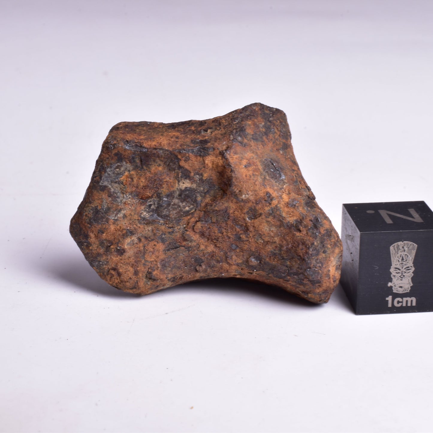 MUNDRABILLA IRON METEORITE, Western Australia MT44