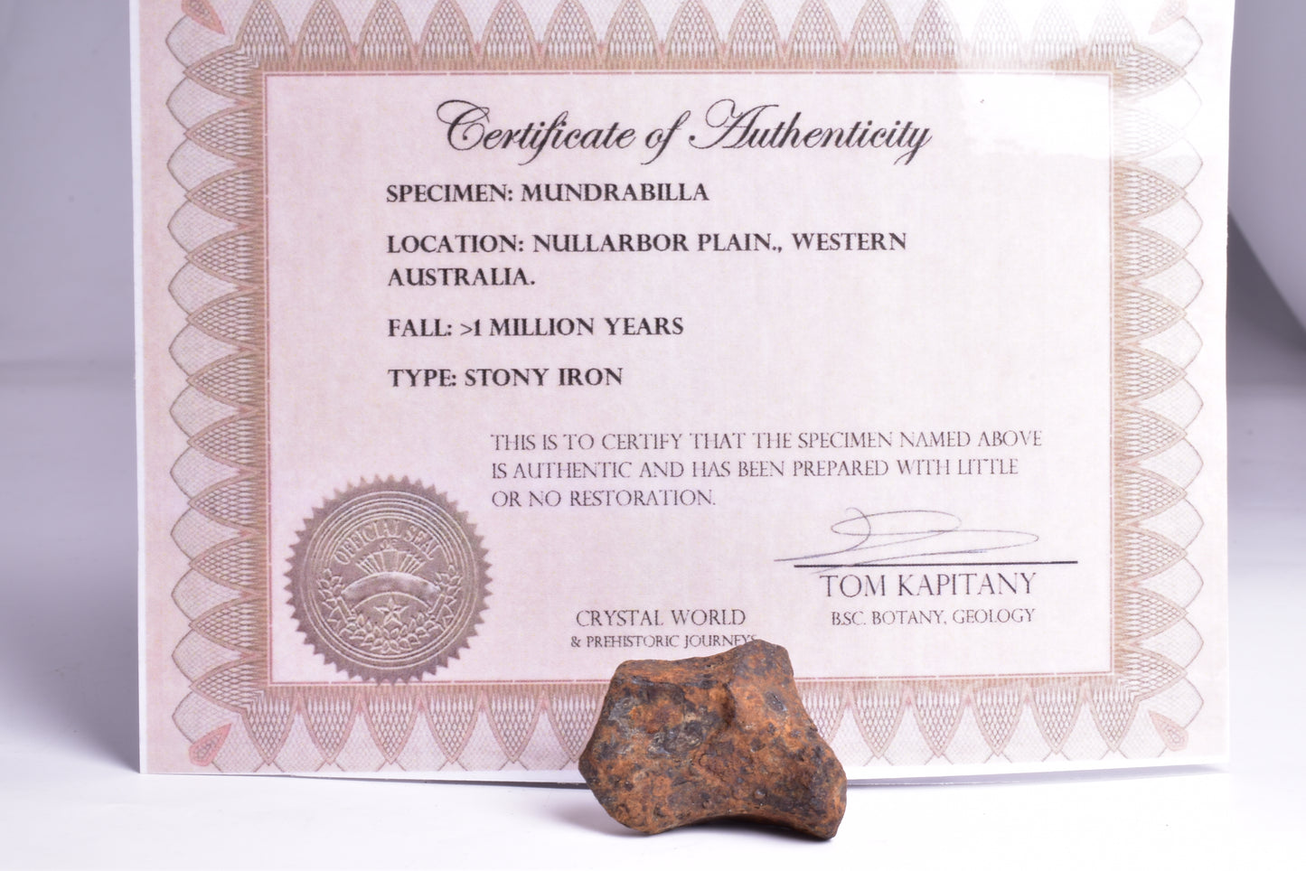 MUNDRABILLA IRON METEORITE, Western Australia MT44