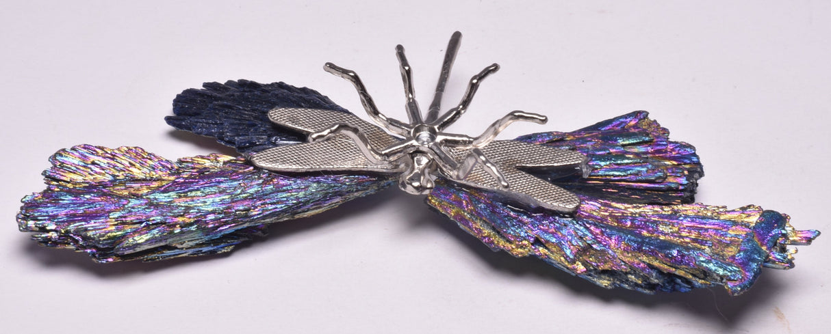 TITANIUM AURA KYANITE DRAGONFLY P545