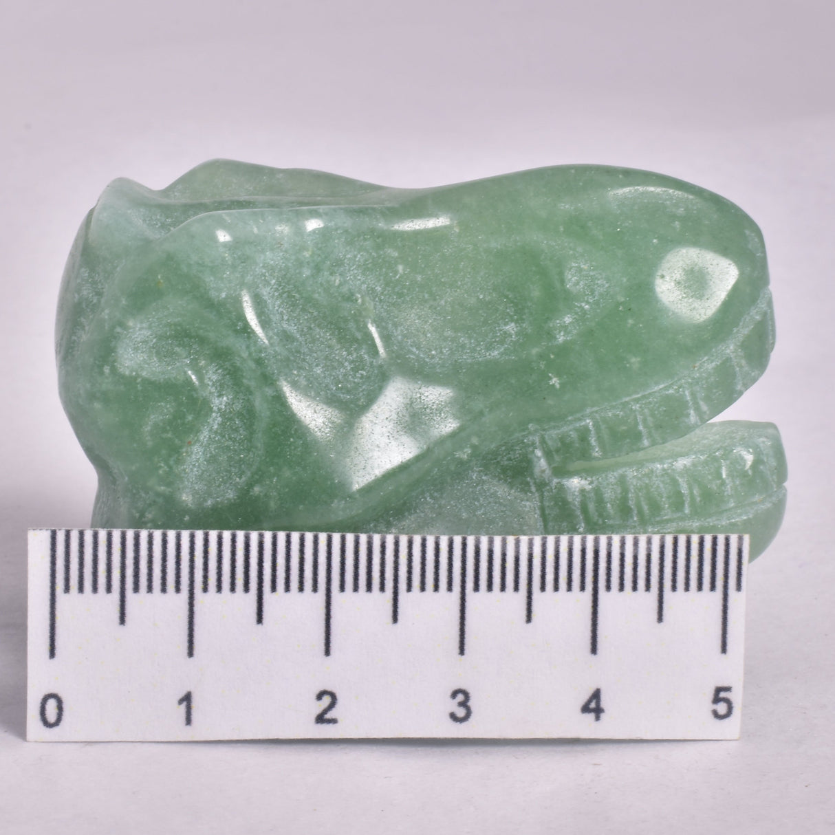 GREEN AVENTURINE T-REX DINOSAUR SKULL P200