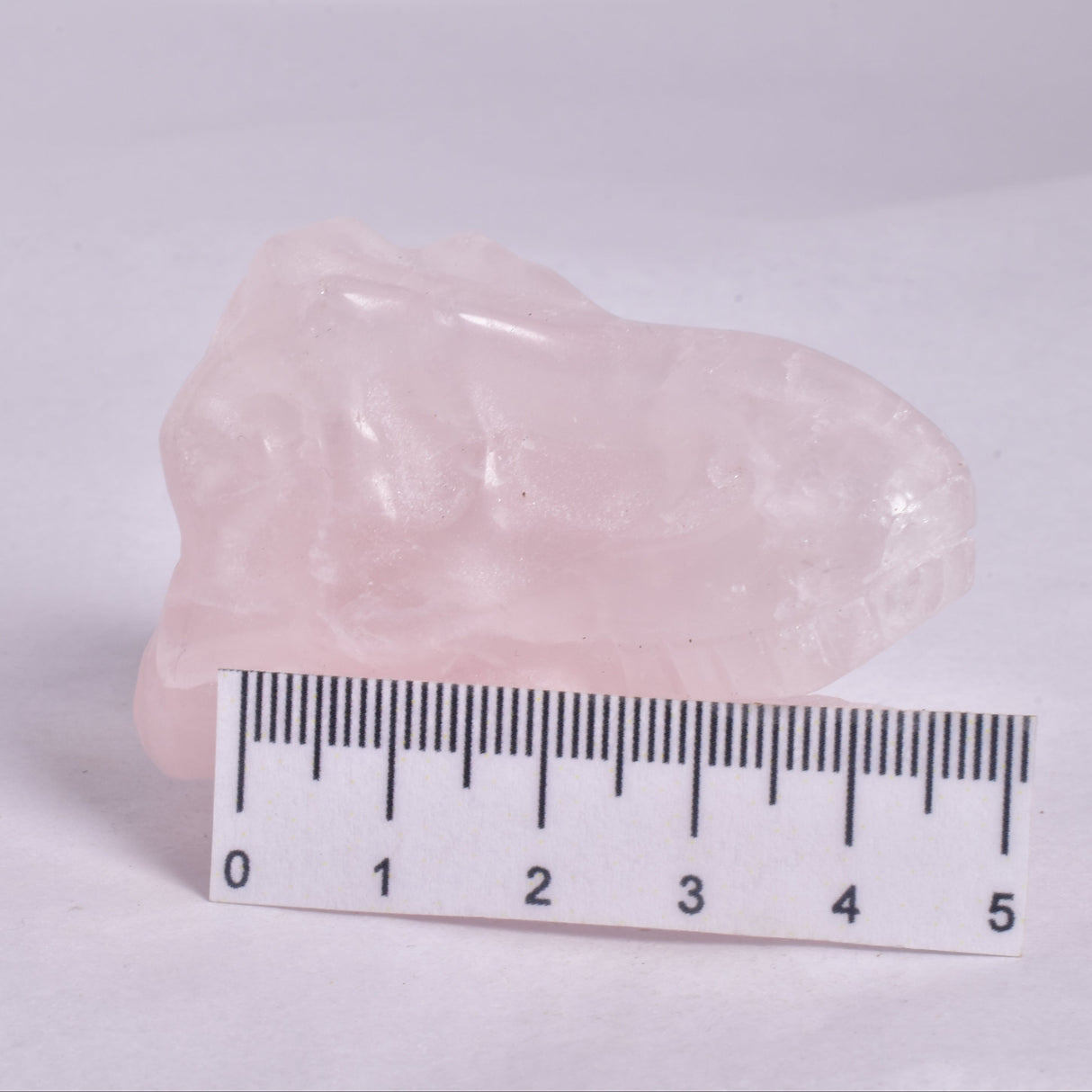 ROSE QUARTZ T-REX DINOSAUR SKULL P202