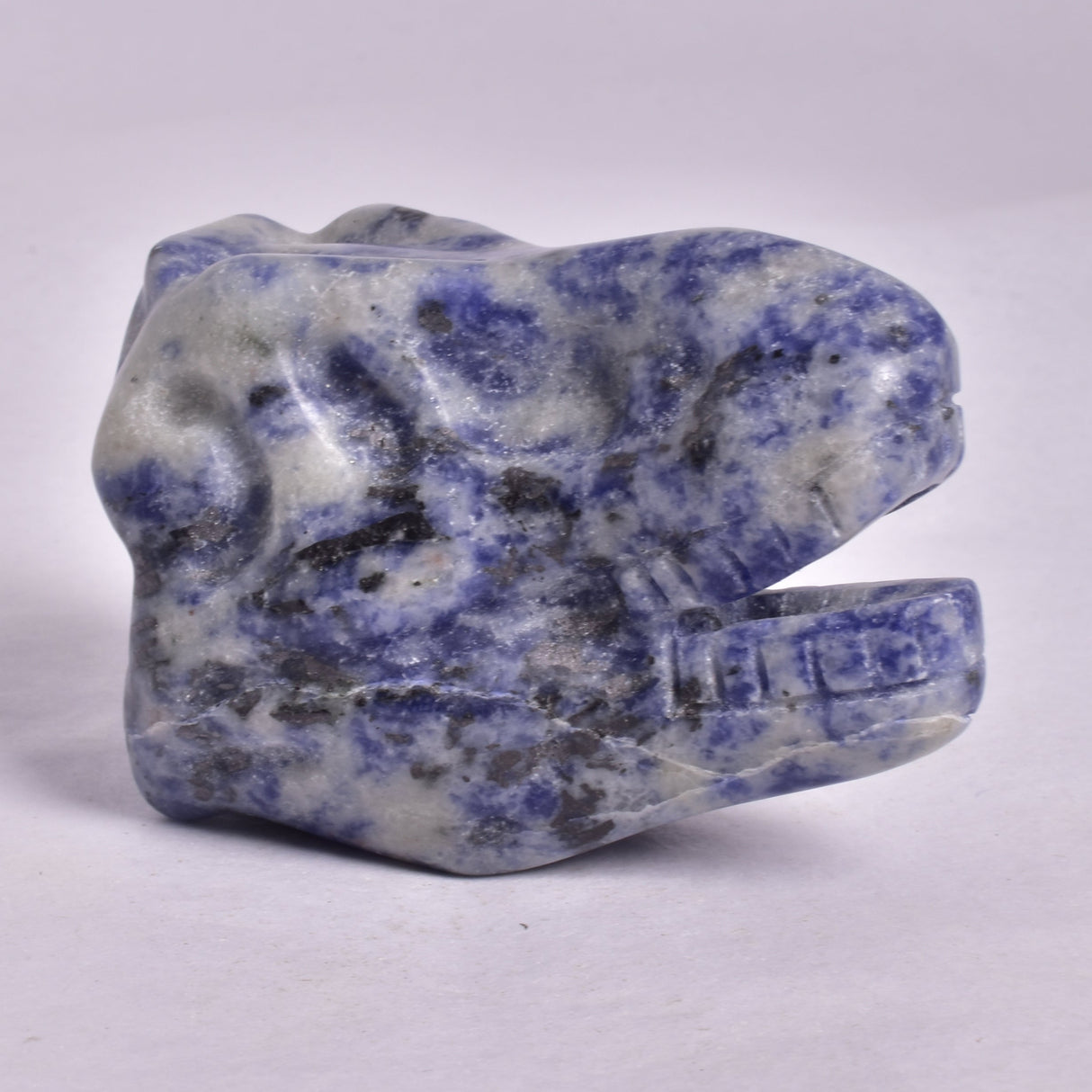 SODALITE T-REX DINOSAUR SKULL P203