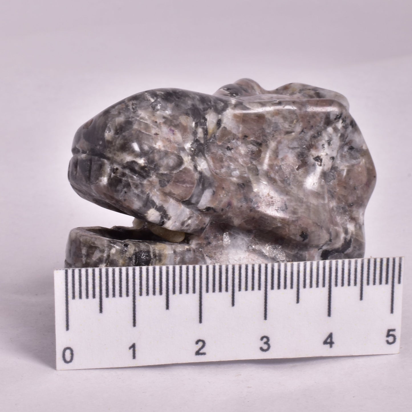 YOOPERLITE FIRESTONE T-REX DINOSAUR SKULL P537