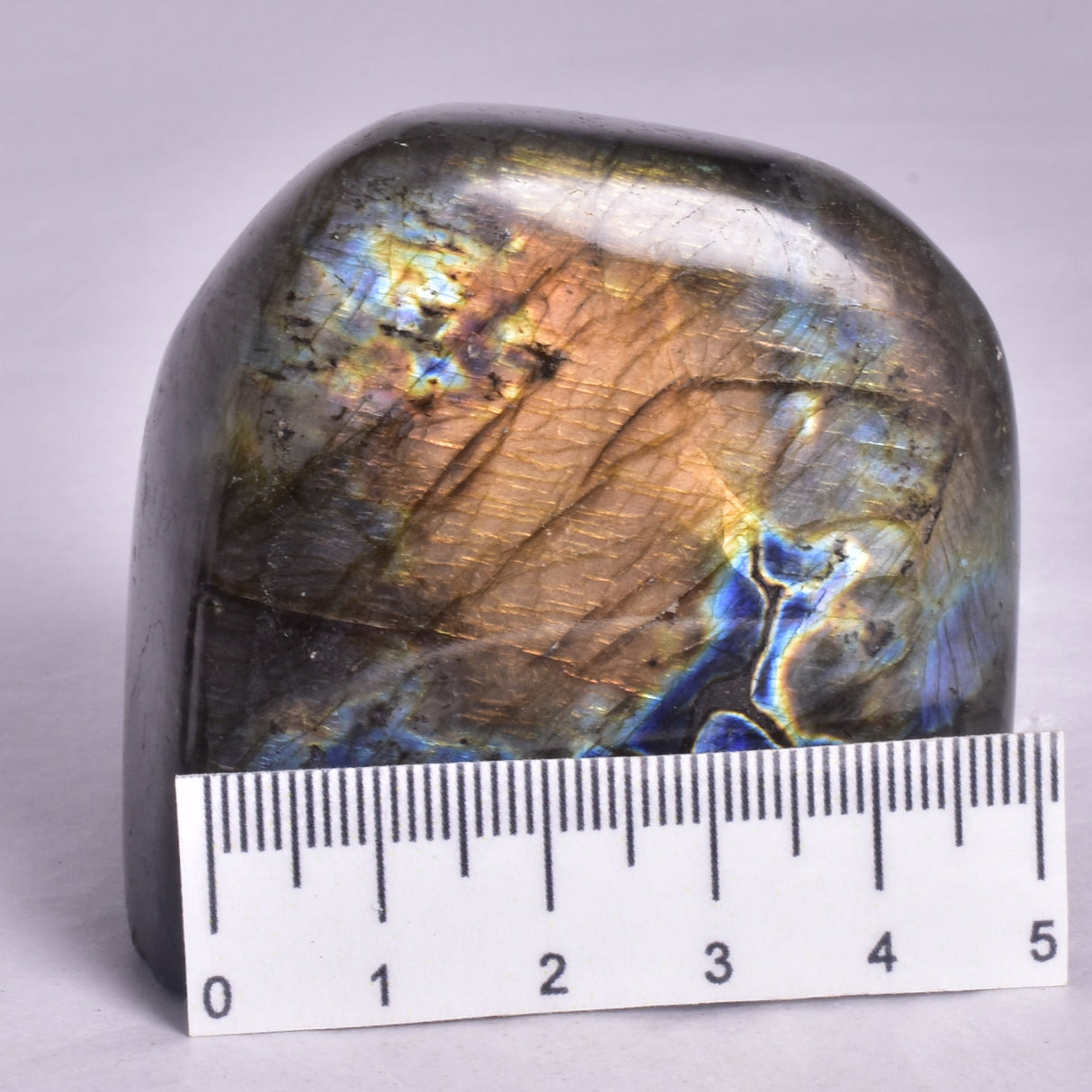 LABRADORITE POLISHED FREEFORM P2046