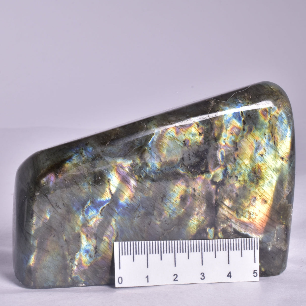 LABRADORITE POLISHED FREEFORM P2049