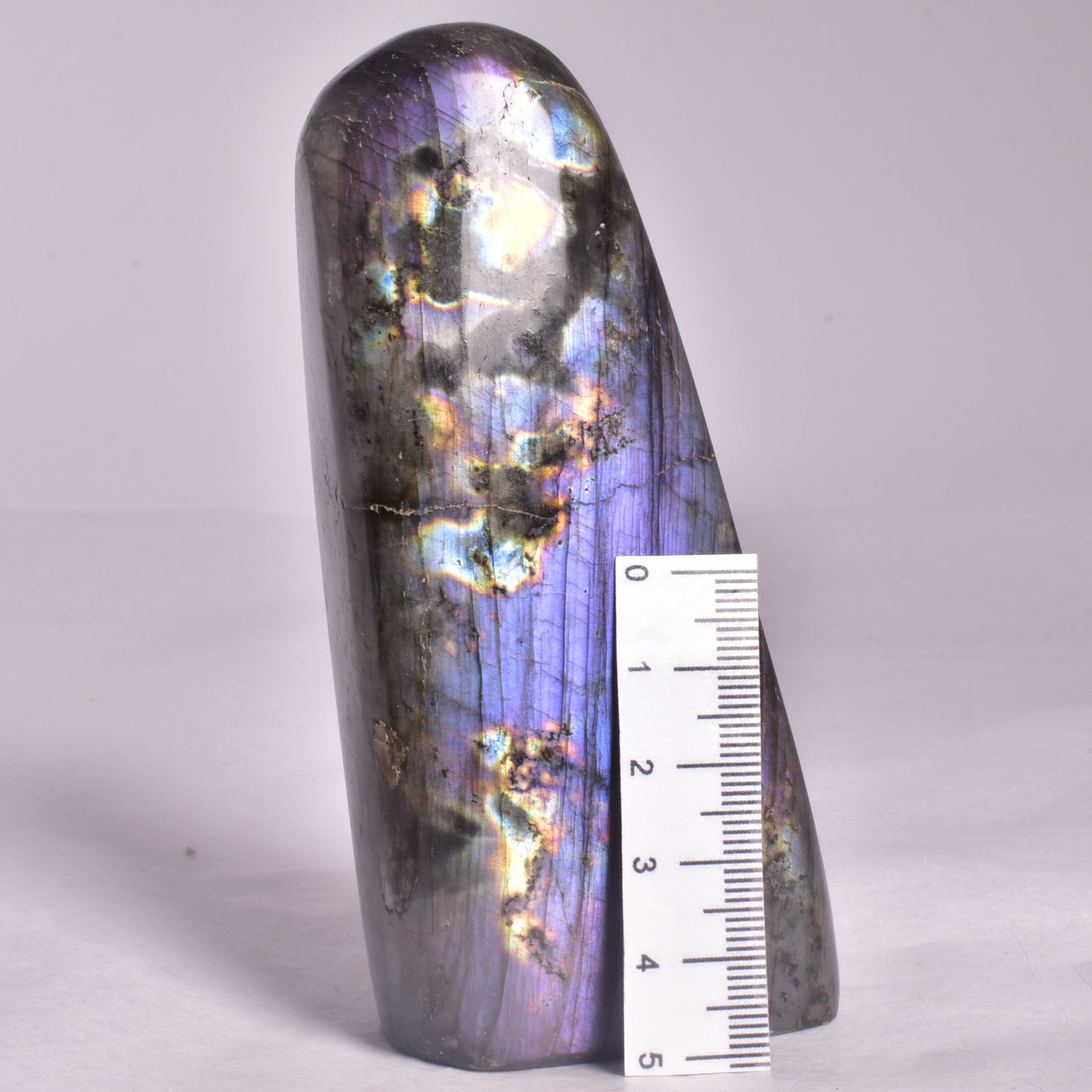 LABRADORITE POLISHED FREEFORM P2051