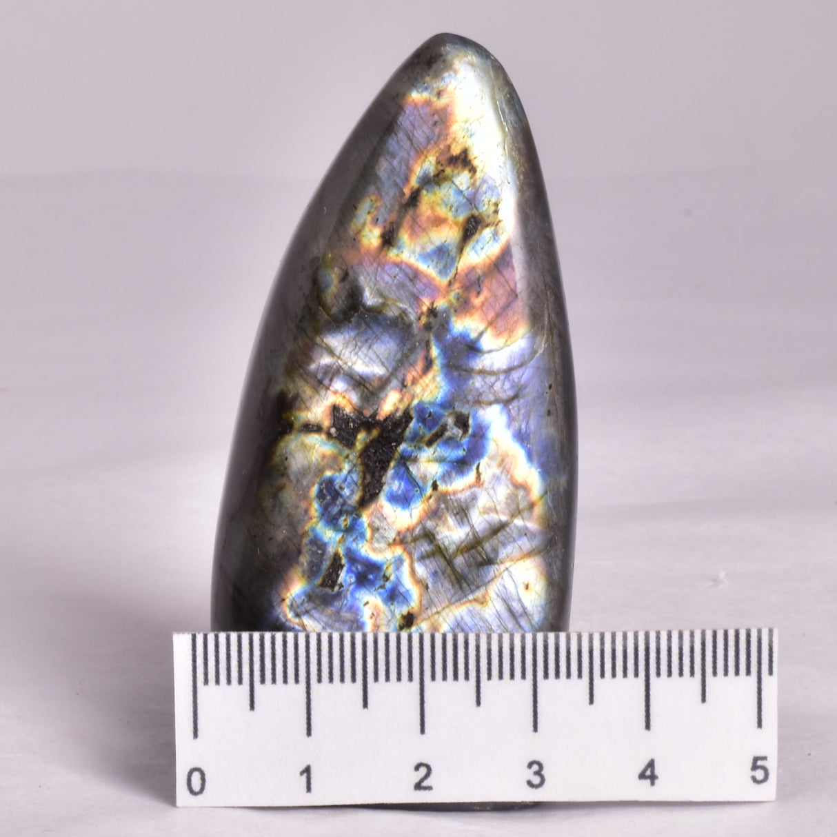 LABRADORITE POLISHED FREEFORM P213