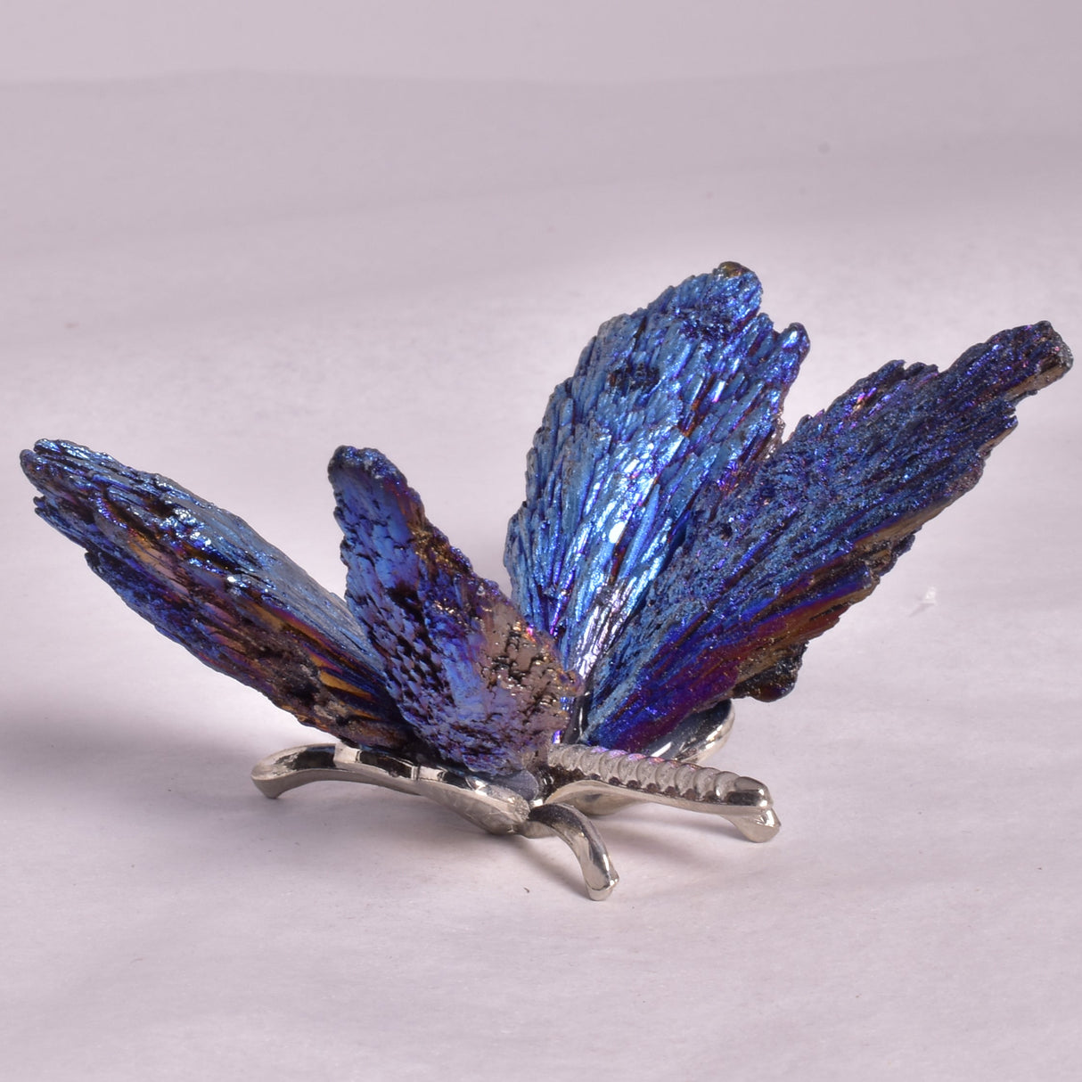 TITANIUM AURA KYANITE BUTTERFLY P935