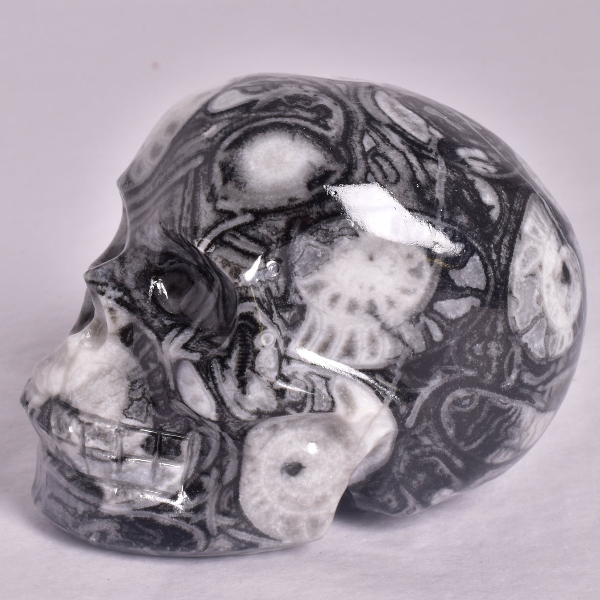 FOSSIL MARBLE CARVED SKULL P903