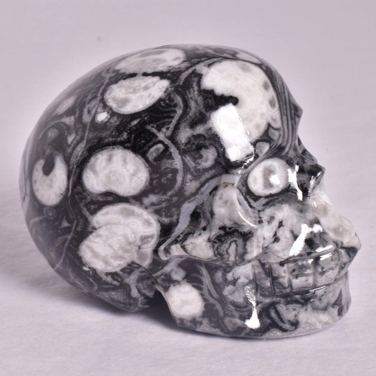 FOSSIL MARBLE CARVED SKULL P903