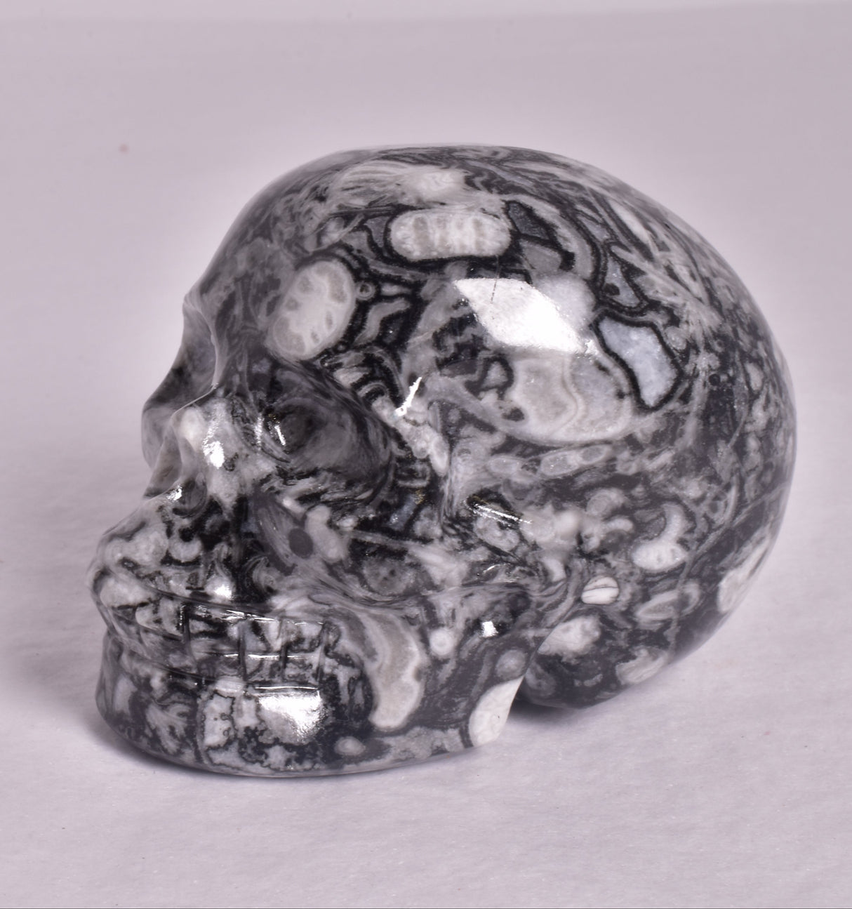 FOSSIL MARBLE CARVED SKULL P908