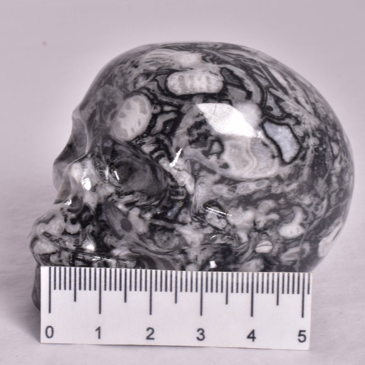 FOSSIL MARBLE CARVED SKULL P908