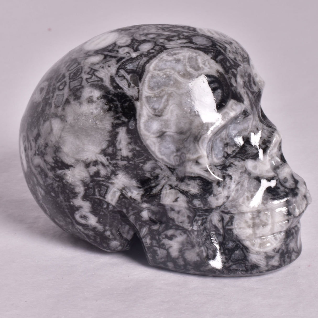 FOSSIL MARBLE CARVED SKULL P908