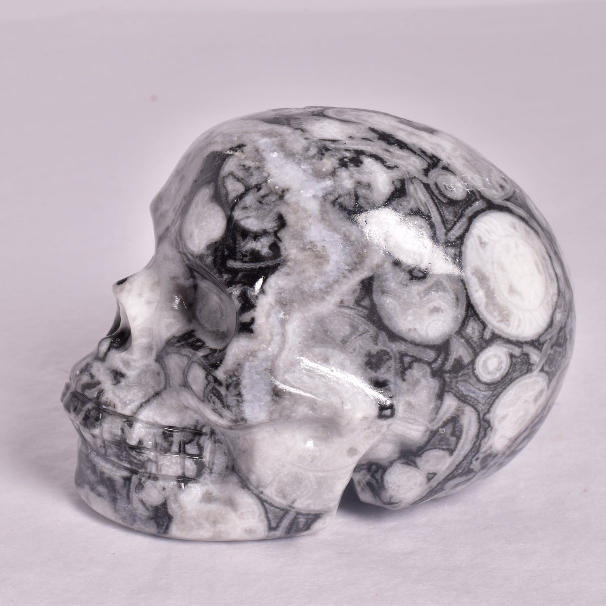 FOSSIL MARBLE CARVED SKULL P912