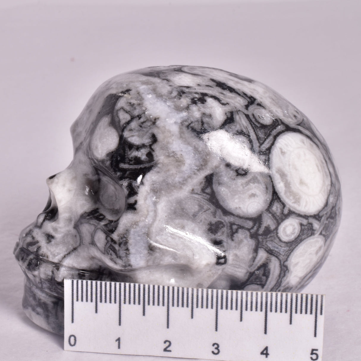 FOSSIL MARBLE CARVED SKULL P912