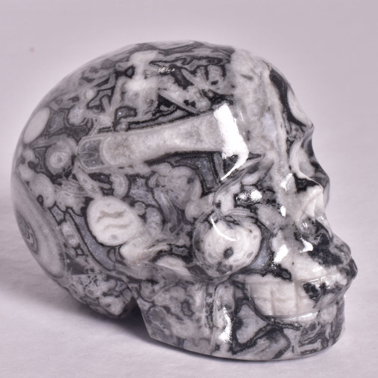 FOSSIL MARBLE CARVED SKULL P912