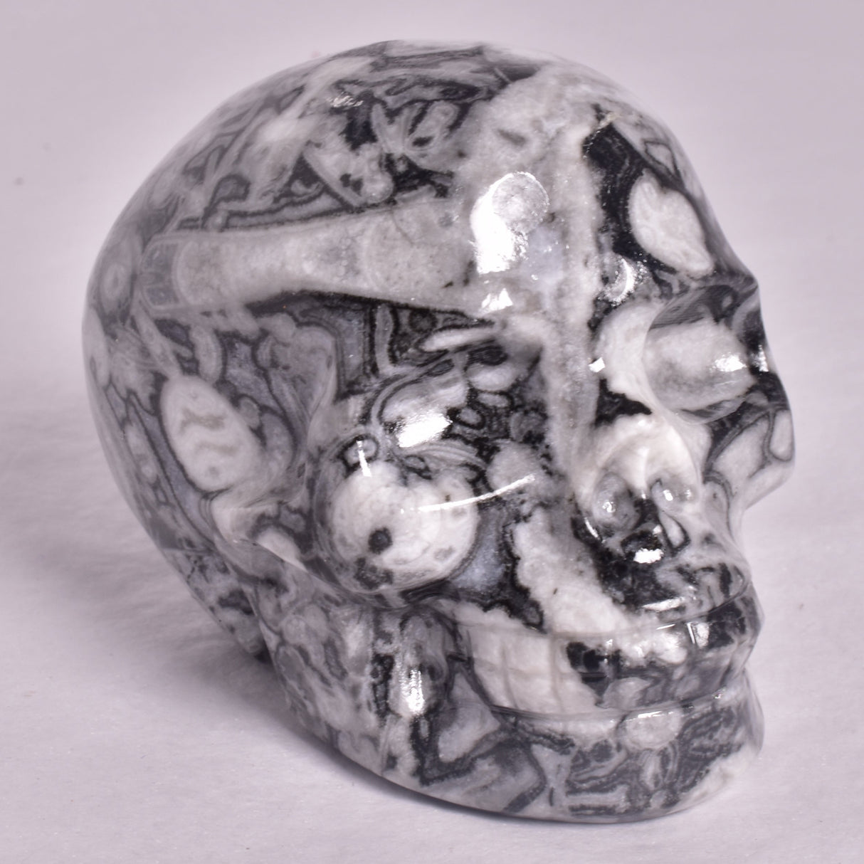 FOSSIL MARBLE CARVED SKULL P912
