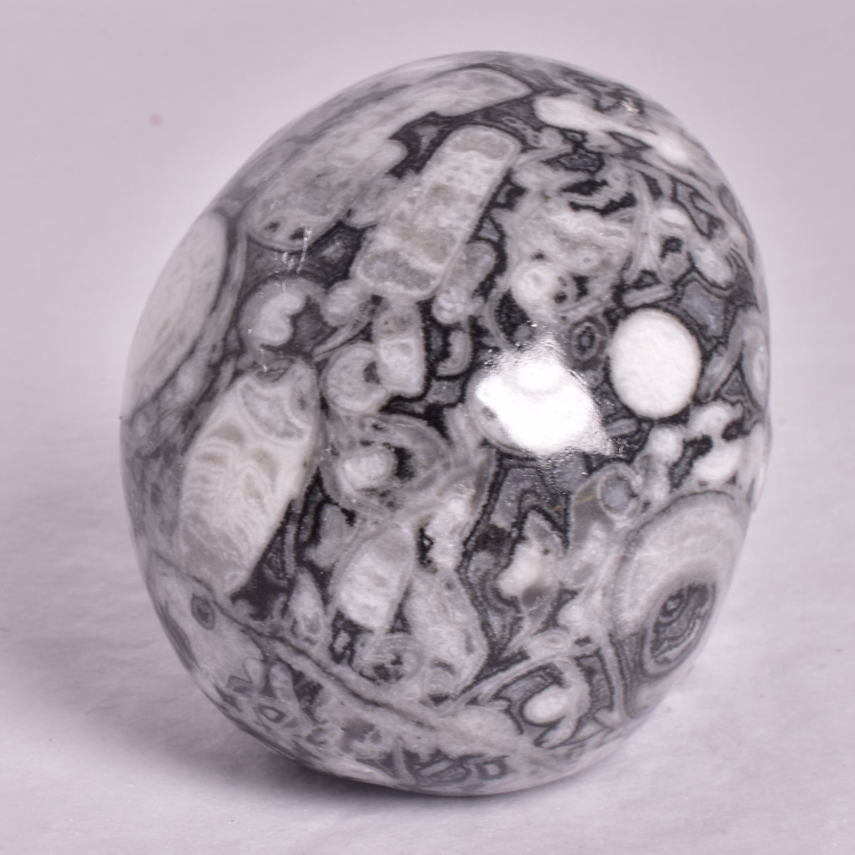 FOSSIL MARBLE CARVED SKULL P912