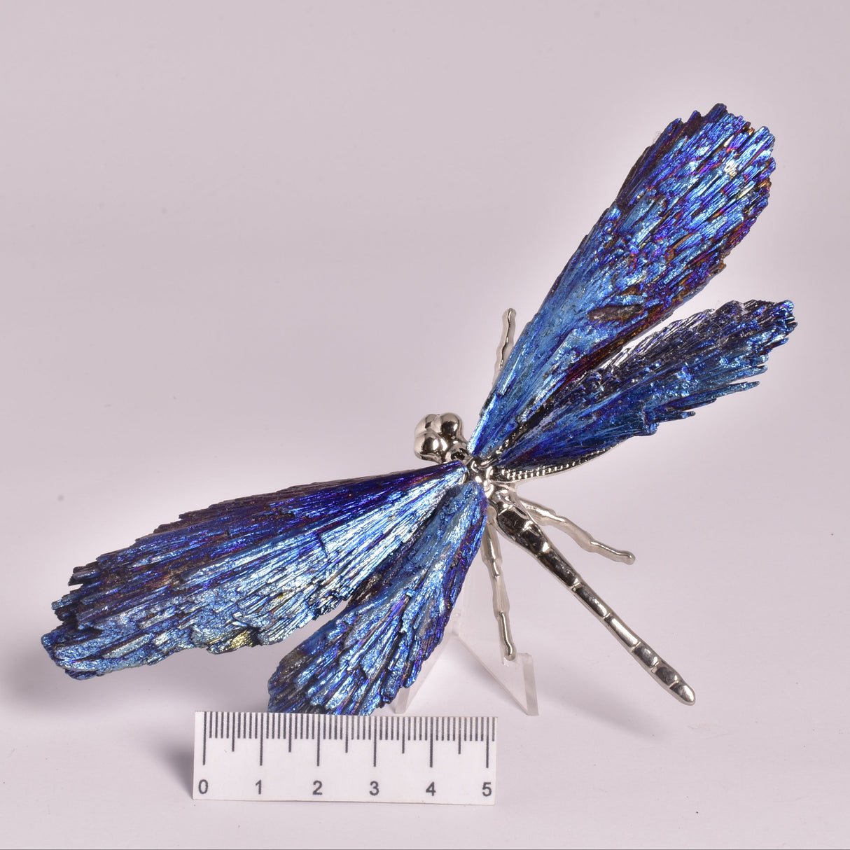 TITANIUM AURA KYANITE DRAGONFLY P551