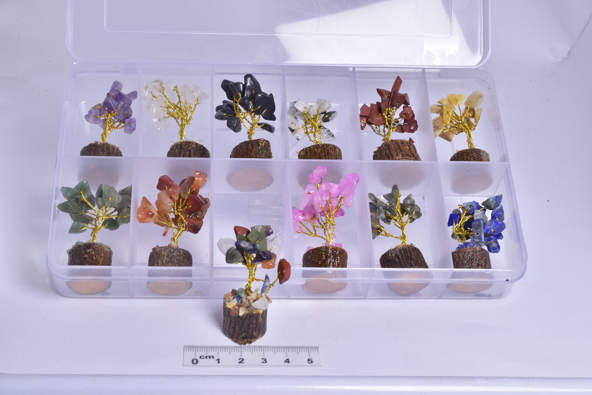 ASSORTED MINI CRYSTAL 12 PIECE GEM TREE BOX TR1