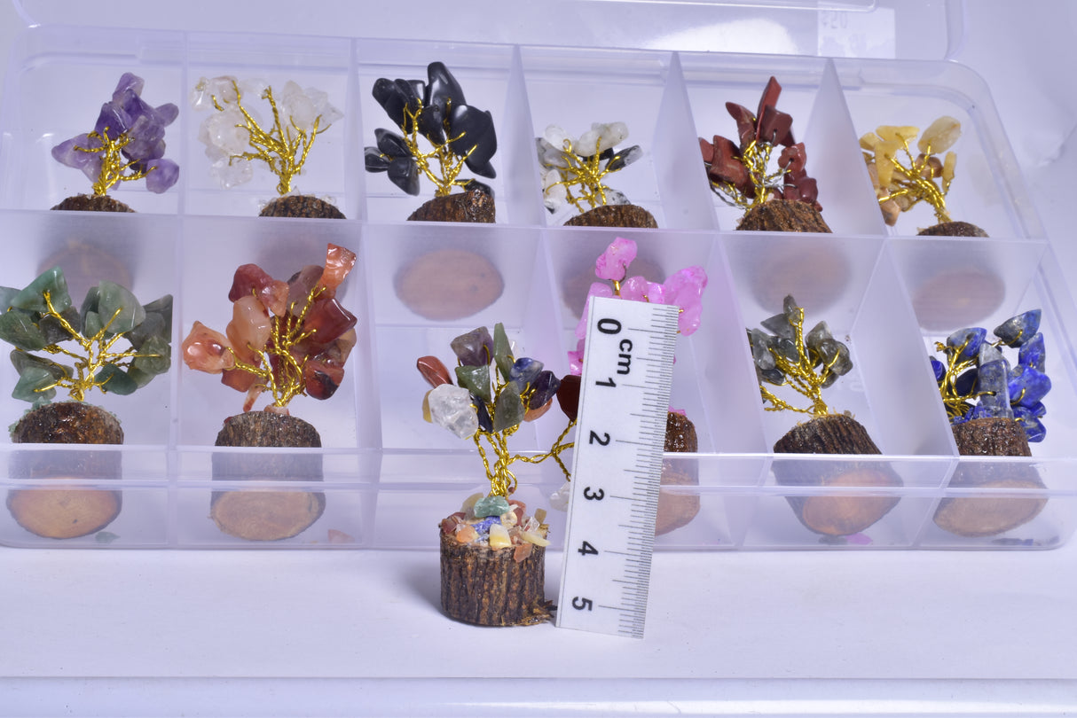 ASSORTED MINI CRYSTAL 12 PIECE GEM TREE BOX TR1