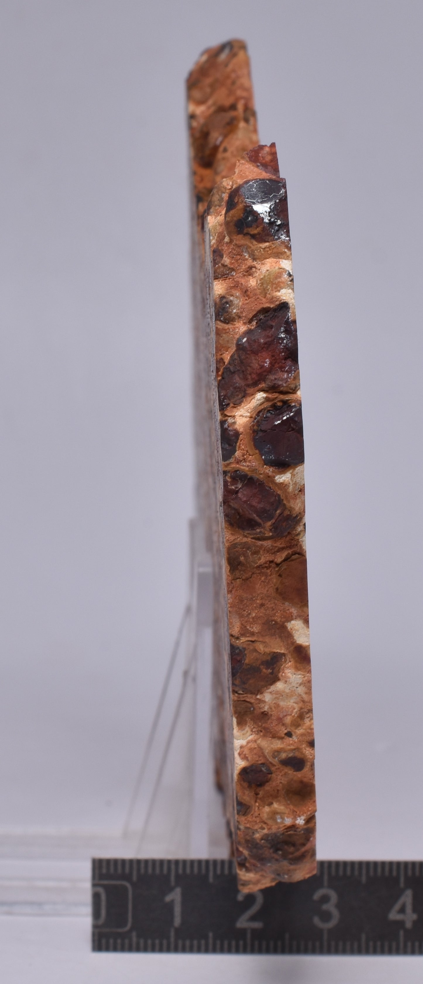 BAUXITE, Aluminium Hydroxide, Polished Slice, Kalgoorlie WA S290
