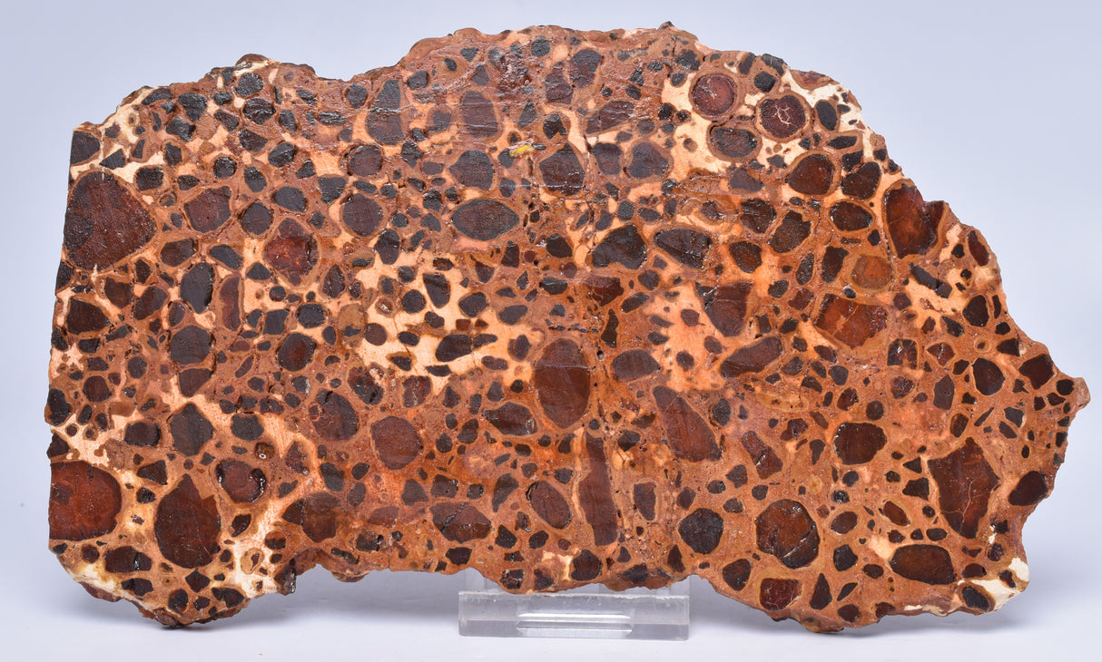 BAUXITE, Aluminium Hydroxide, Polished Slice, Kalgoorlie WA S191