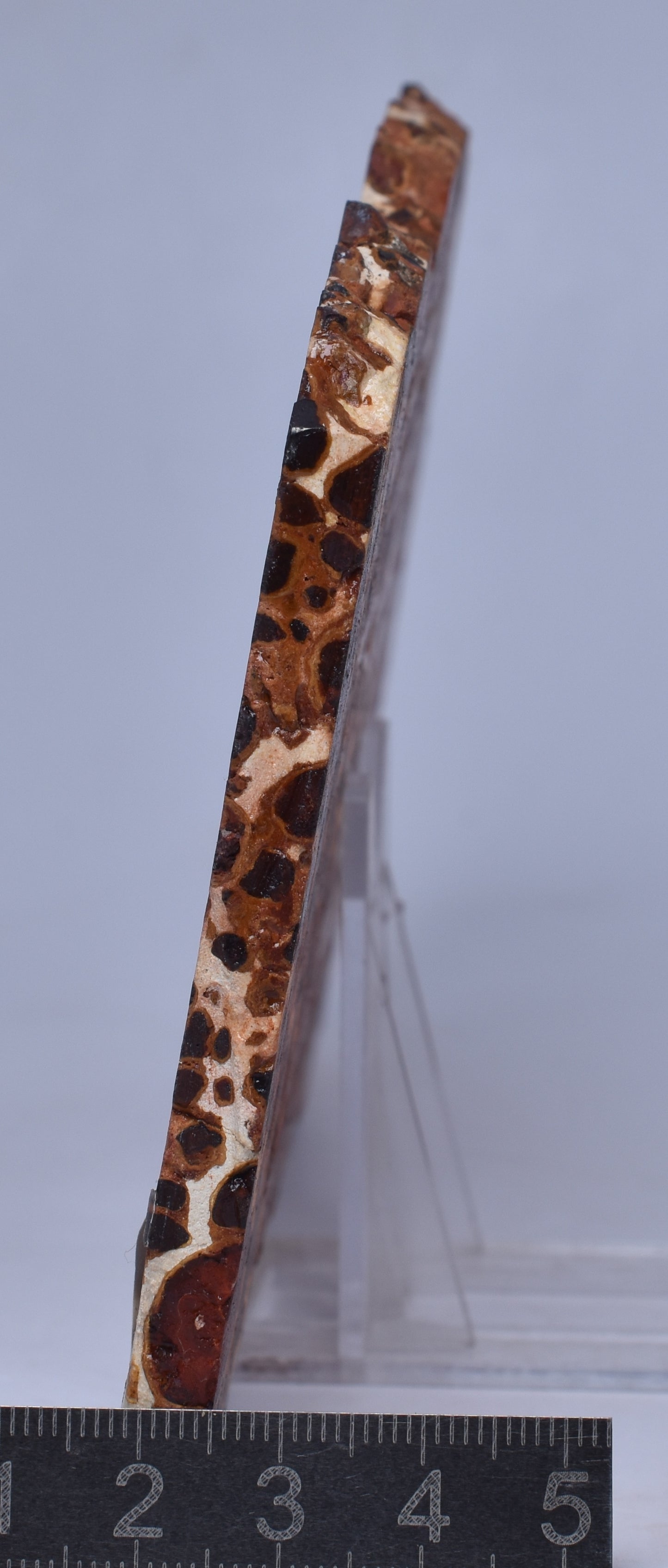 BAUXITE, Aluminium Hydroxide, Polished Slice, Kalgoorlie WA S191