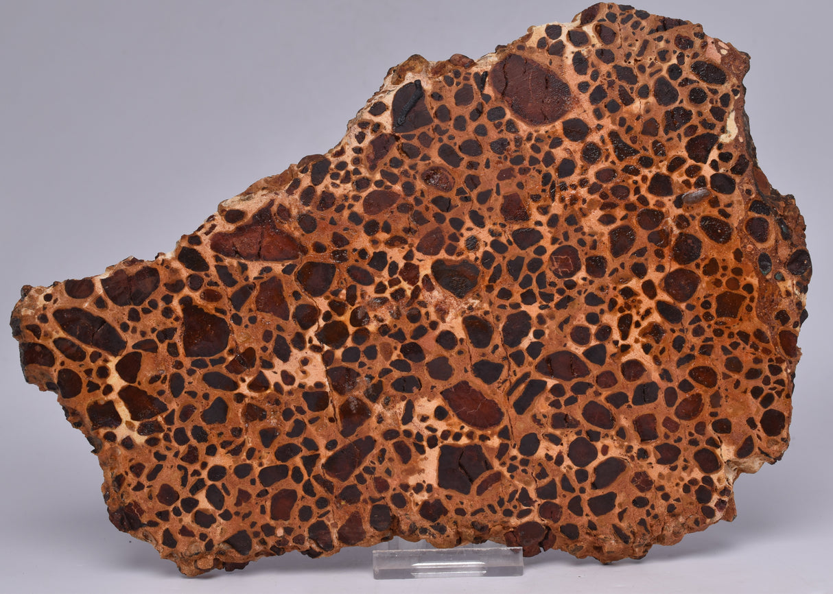 BAUXITE, Aluminium Hydroxide, Polished Slice, Kalgoorlie WA S194