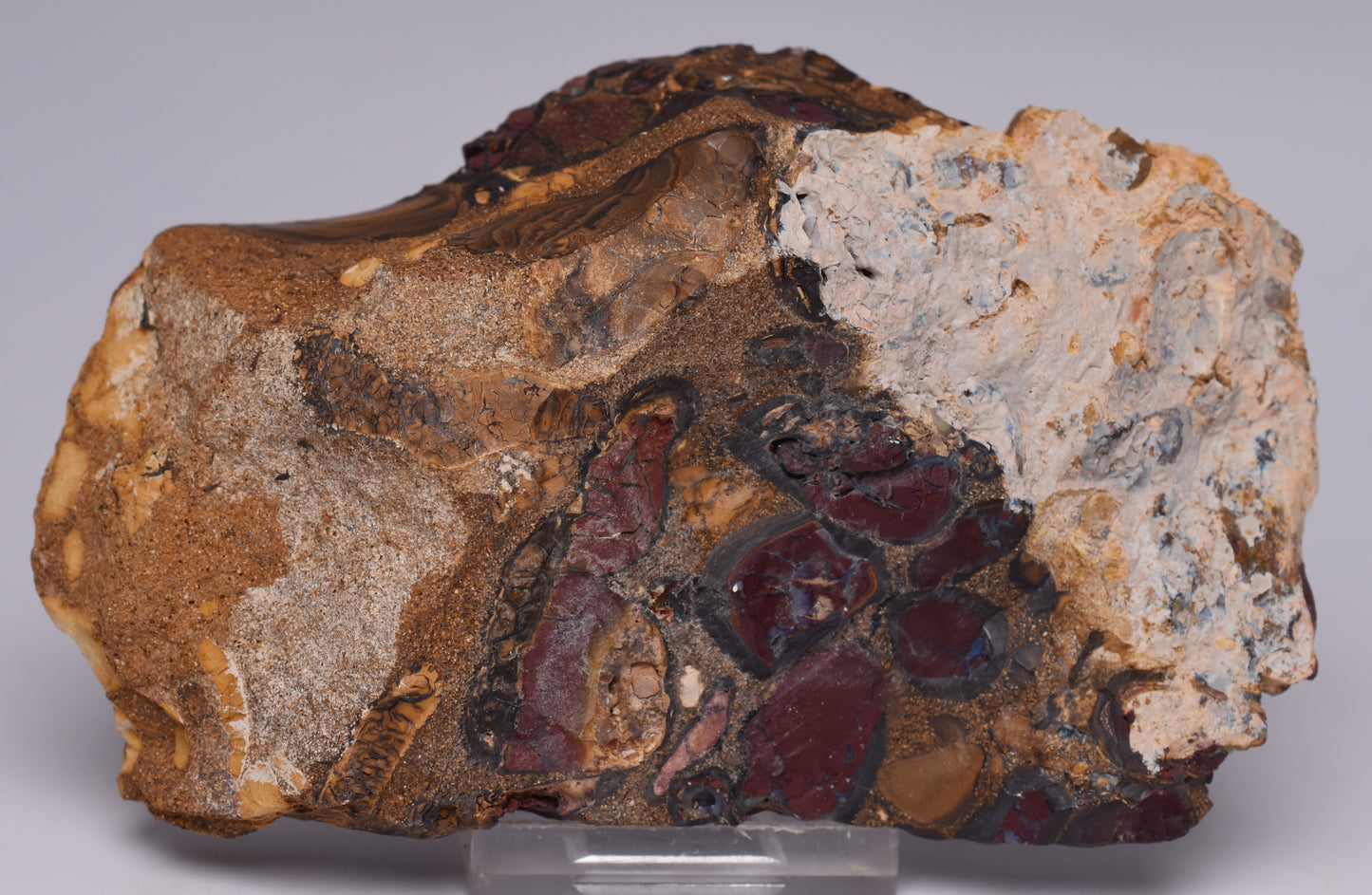 OPALISED FOREST FLOOR Polished, Koroit, Queensland, Australia S1295