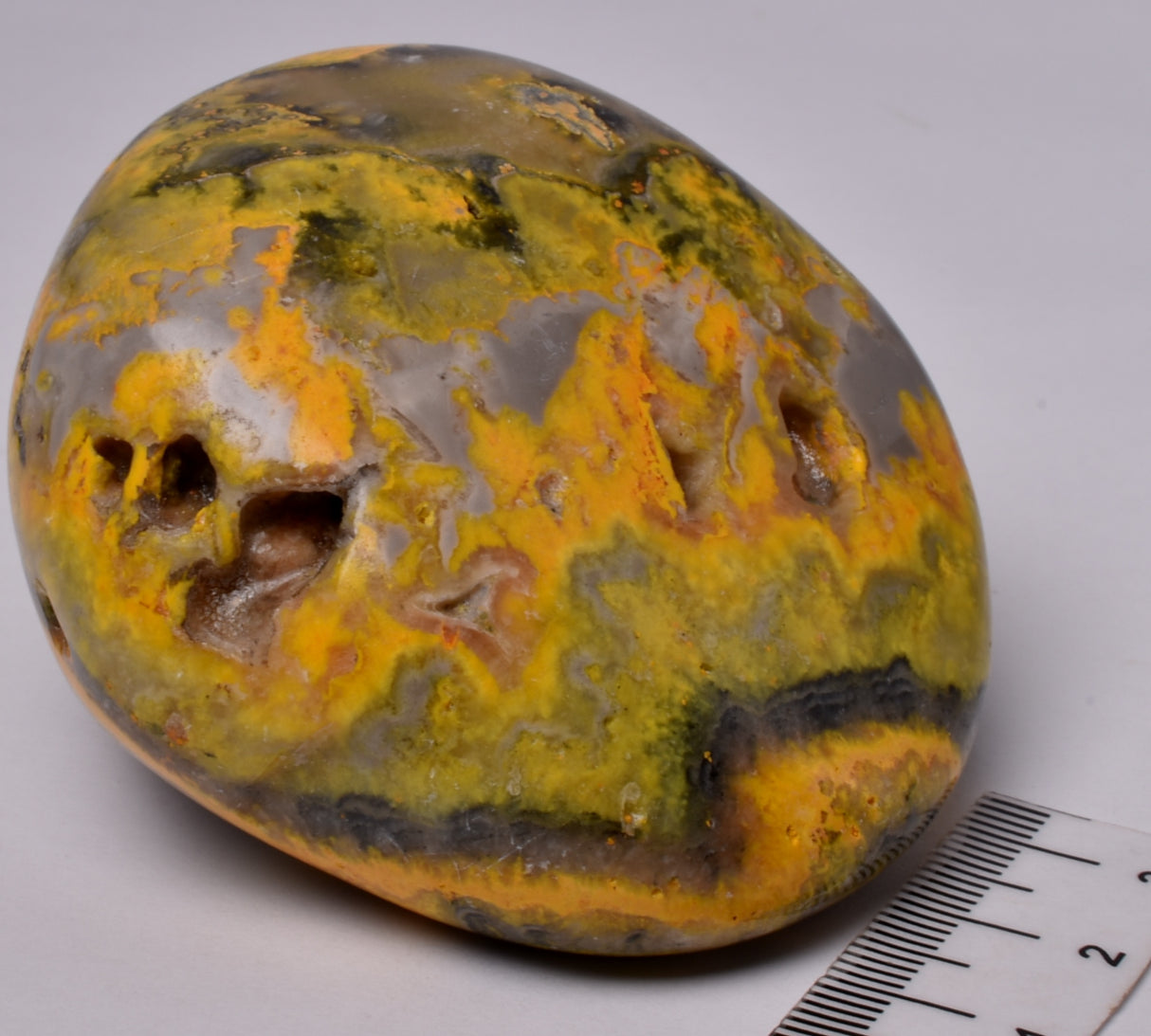BUMBLEBEE JASPER POLISHED FREEFORM, INDONESIA P781