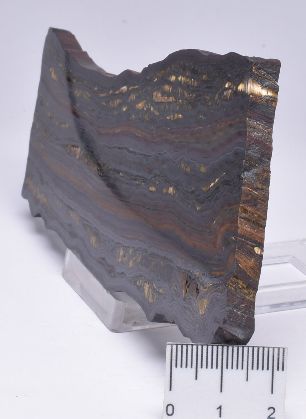 BANDED TIGER IRON Polished Slice, AUSTRALIA S1127