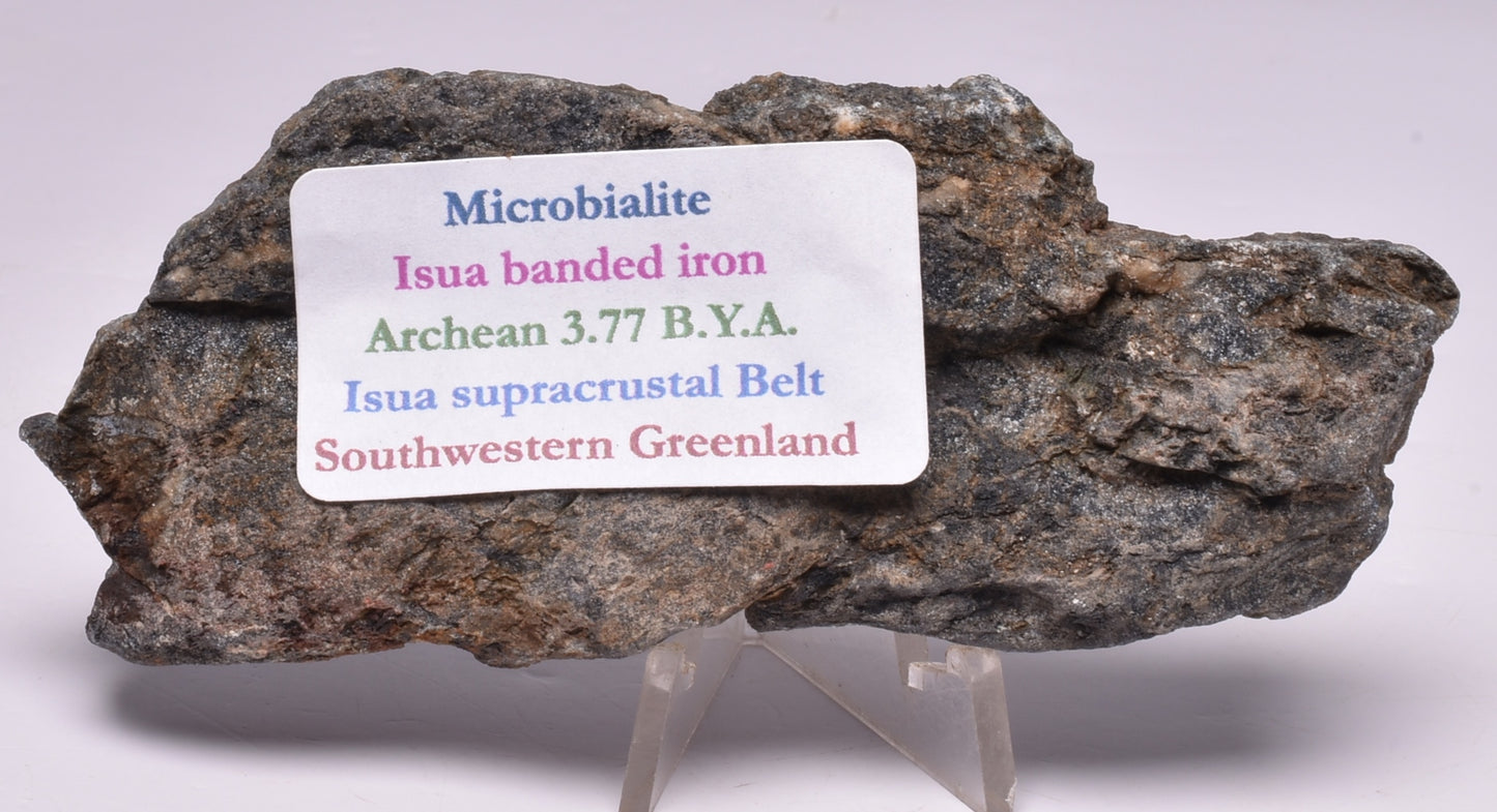 MICROBIALITE STROMATOLITE, Isua banded iron, 3.77 B.Y.A. Greenland S77