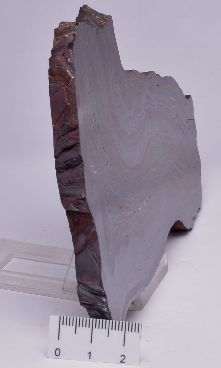 BANDED TIGER IRON Polished Slice, AUSTRALIA S43