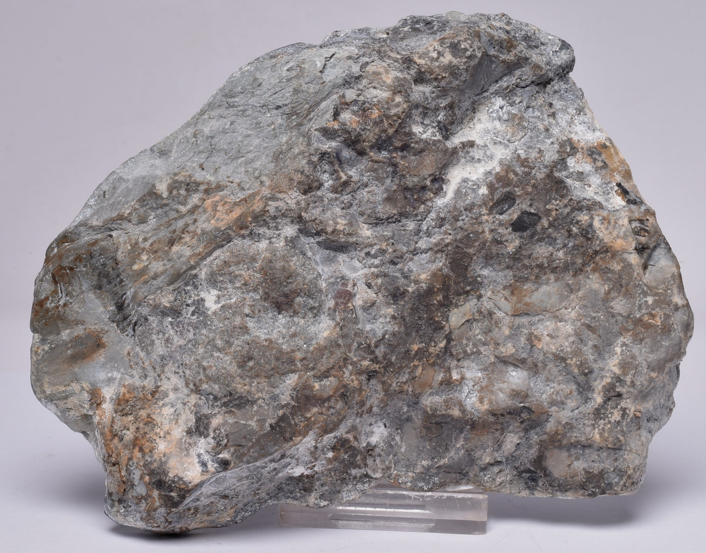 MICROBIALITE, STROMATOLITE, 1640 mya BARNEY CREEK FORMATION, McARTHUR RIVER, AUSTRALIA S109