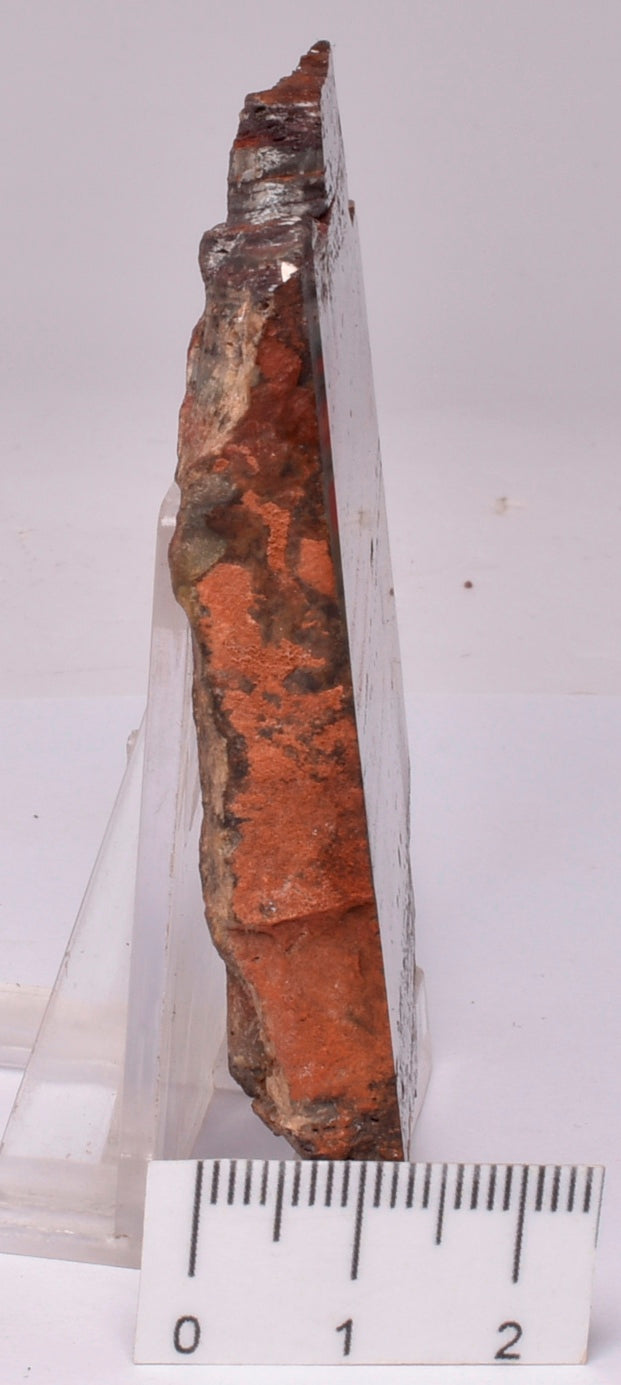 STROMATOLITE from the Jerrinah Formation, Pilbara, Western Australia S146
