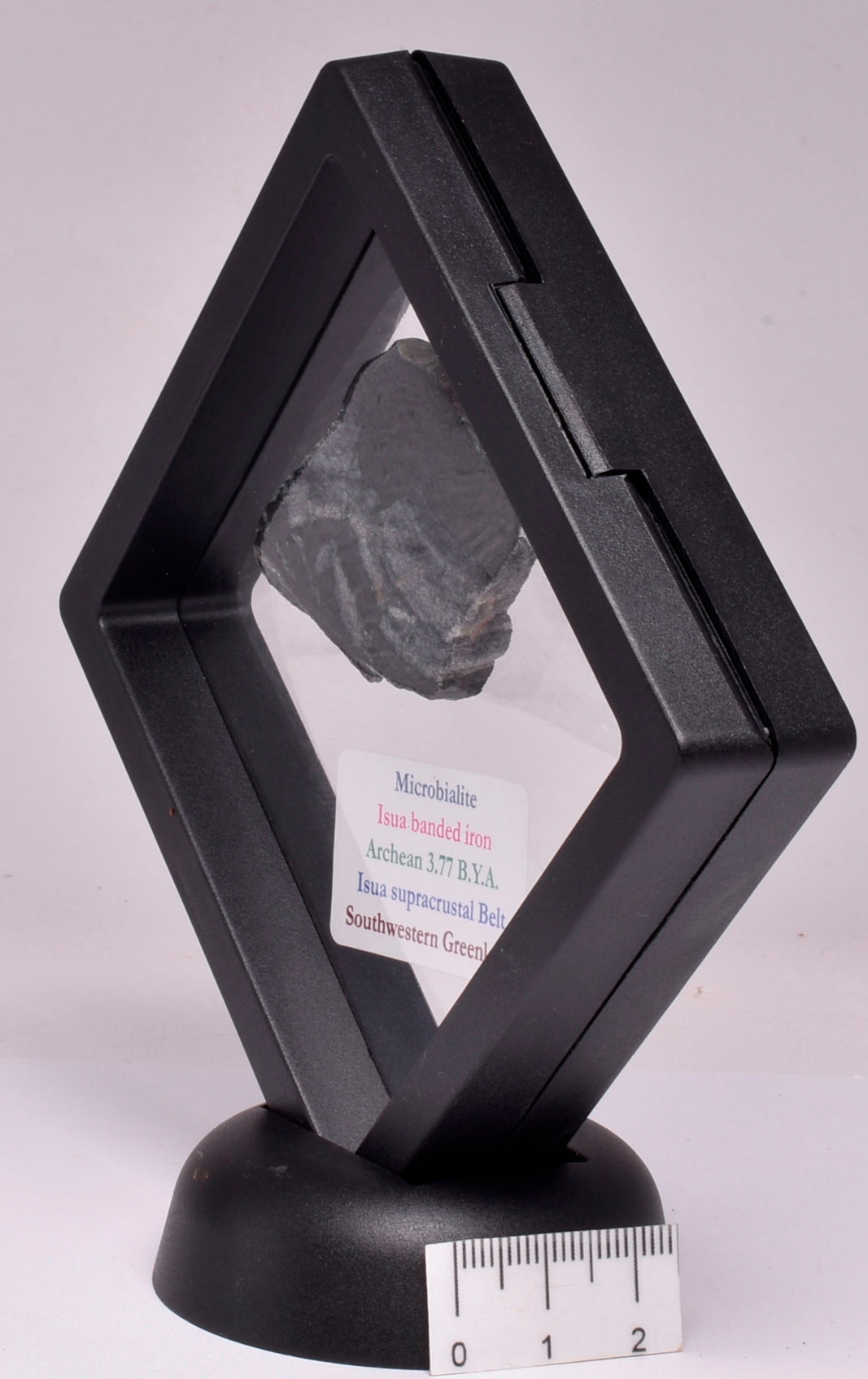 MICROBIALITE STROMATOLITE, ISUA BANDED IRON, 3.77 B.Y.A. GREENLAND S157