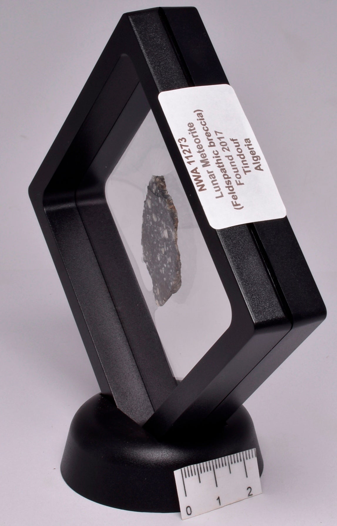 LUNAR METEORITE NWA 11273 Found 2017 Algeria MT56