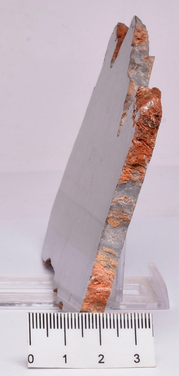 Stromatolite Inzeria Intia Fossil Polished Slice, N.T Australia S297