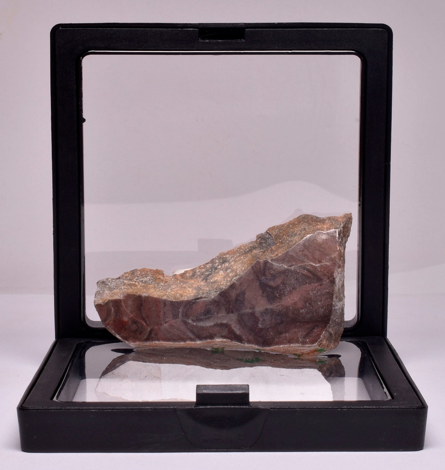 Stromatolite Inzeria Intia Fossil Polished Slice, N.T Australia S364