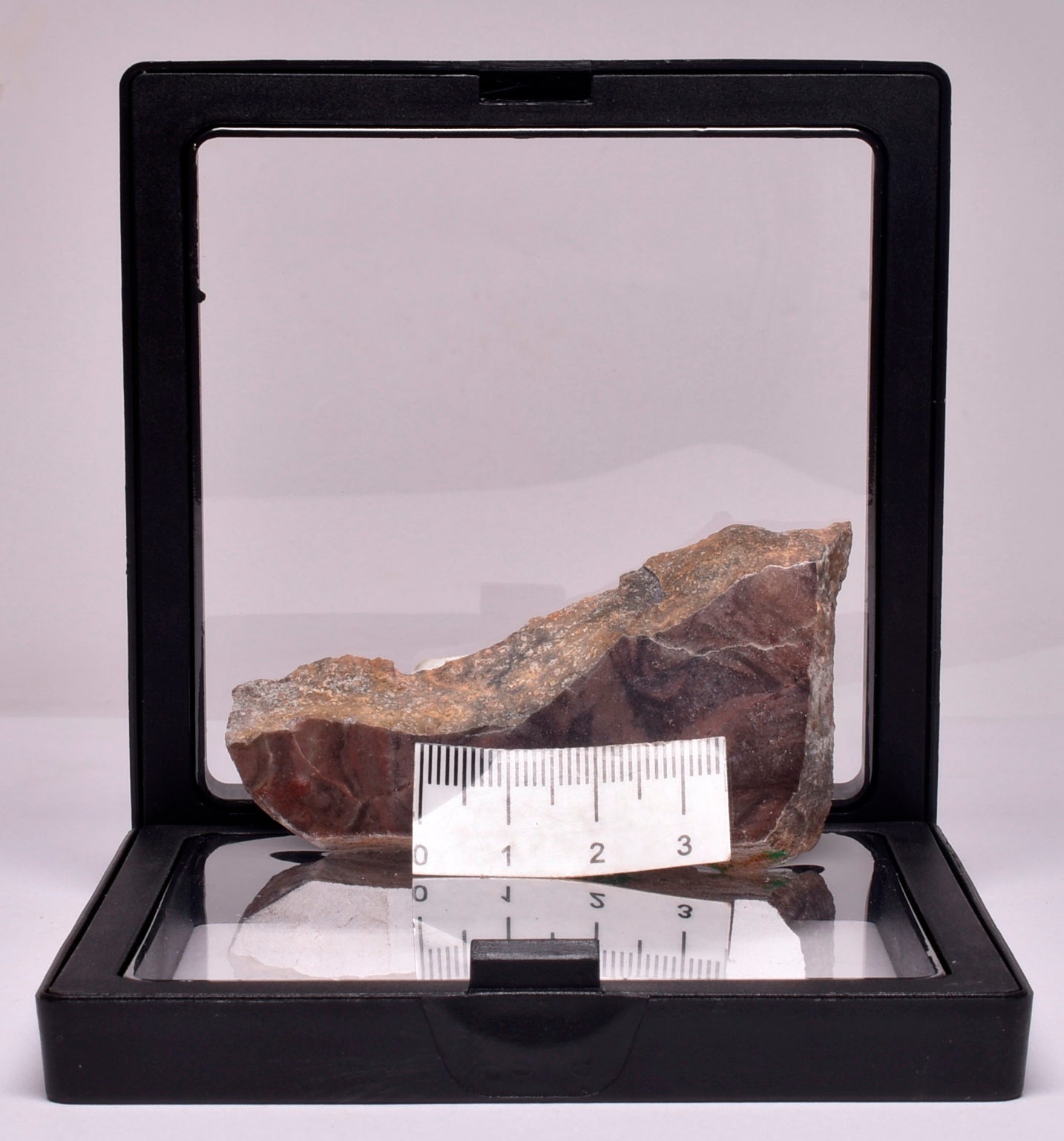 Stromatolite Inzeria Intia Fossil Polished Slice, N.T Australia S364