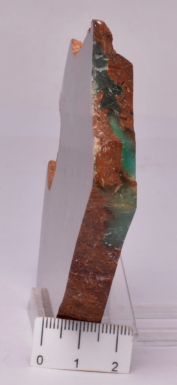 CHRYSOPRASE POLISHED SLICE S779
