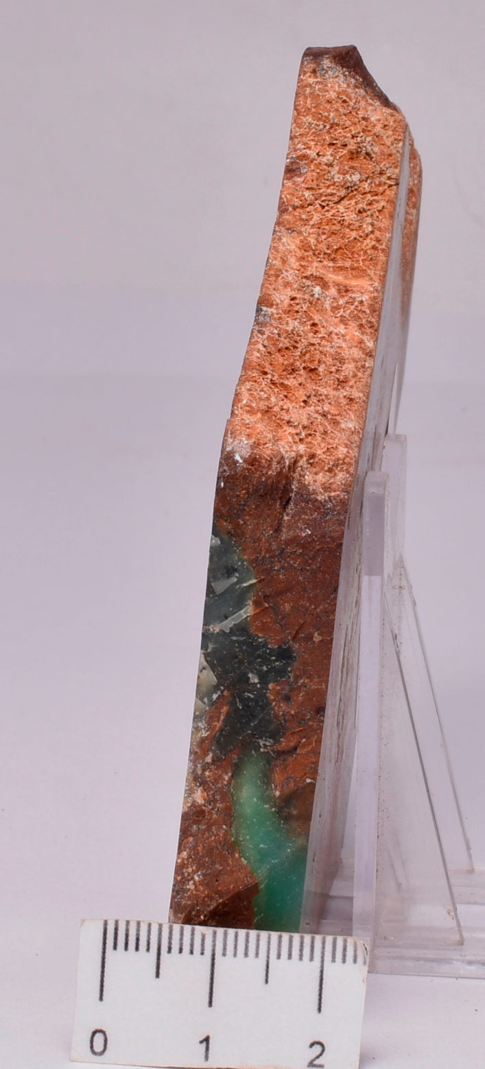 CHRYSOPRASE POLISHED SLICE S779