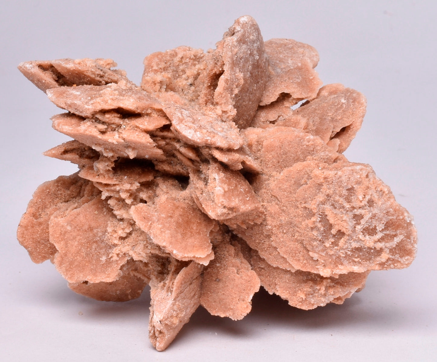 DESERT ROSE FROM Morocco M17