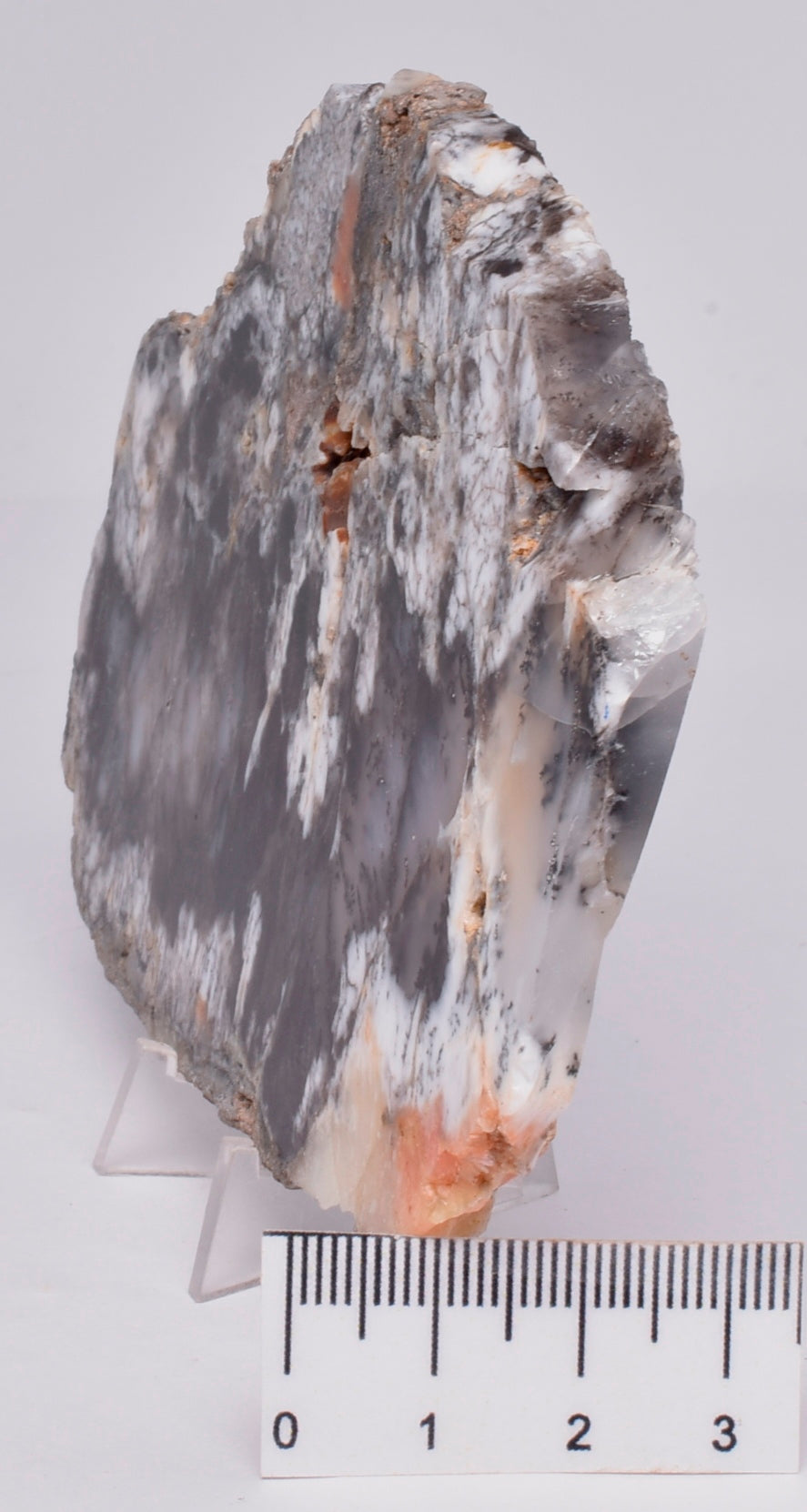 Merlinite, Dendritic Chalcedony, Polished, Western Australia S1016