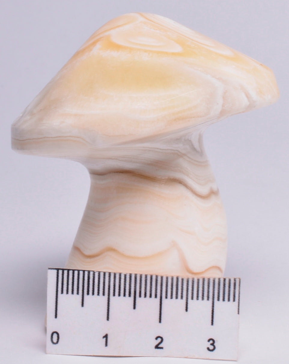 ARAGONITE MUSHROOM CARVING P616